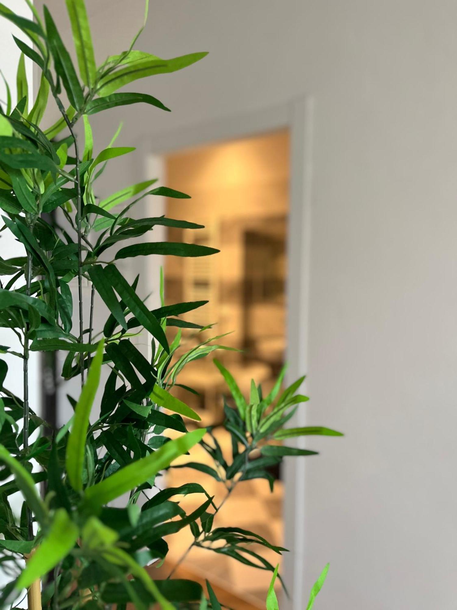 피사 Sonnino House 아파트 외부 사진